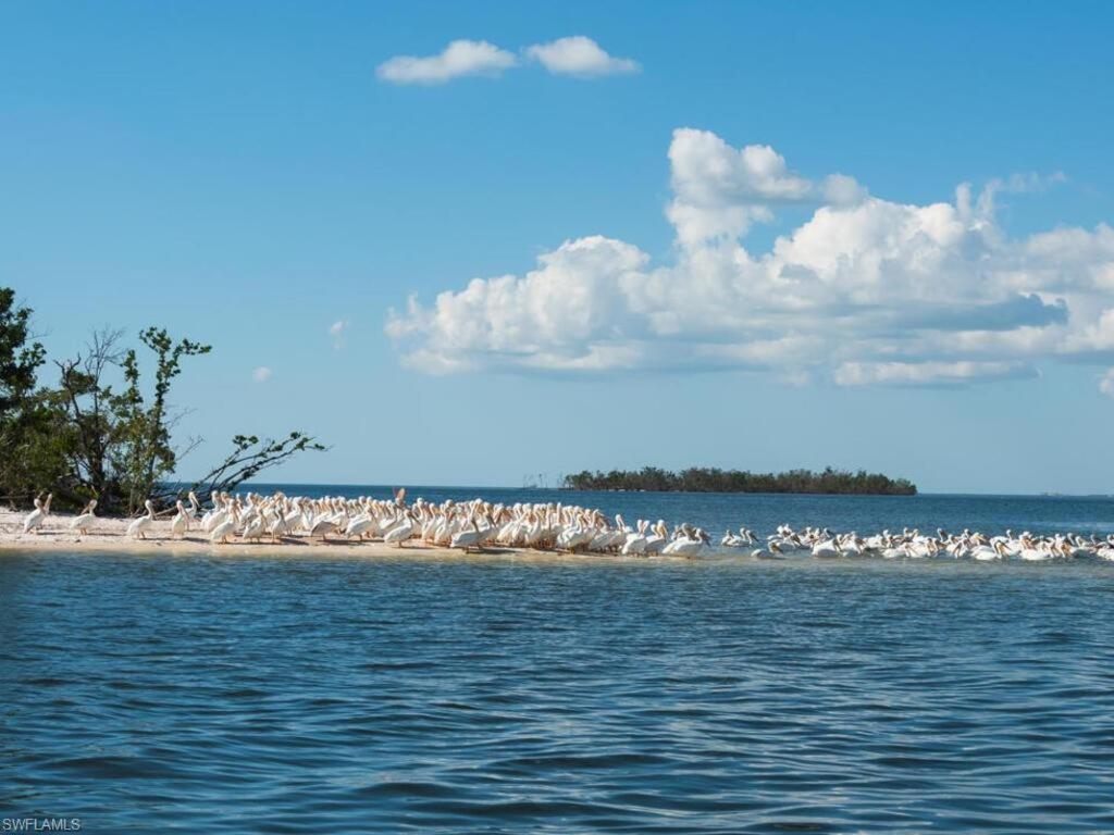 Apartament Marina Getaway On The Water! Naples Zewnętrze zdjęcie